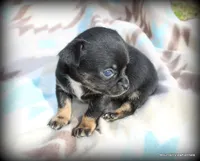 processed/50be2d7c-996a-48e3-830f-a178b099aee9/listing/a882ca62-ead8-4839-ac6b-206252f75ec1/003f9b9d-812f-4a87-83ba-22143b75f626