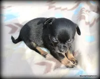 processed/50be2d7c-996a-48e3-830f-a178b099aee9/listing/a882ca62-ead8-4839-ac6b-206252f75ec1/6f4c1acf-6e64-40da-9408-b3e2adaaede6