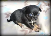 processed/50be2d7c-996a-48e3-830f-a178b099aee9/listing/a882ca62-ead8-4839-ac6b-206252f75ec1/6fb66a06-257f-4703-898f-44c3d6a9825e