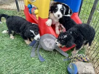 processed/50d11660-3941-4279-90f0-bdebea62c786/facility/5ba593f2-1ca5-4763-8f69-1fba6b303262