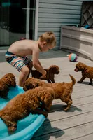 processed/50d11660-3941-4279-90f0-bdebea62c786/facility/5c023bd9-8ea3-423c-a5f2-1c7c513a61e5