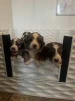 processed/50d11660-3941-4279-90f0-bdebea62c786/facility/6afea8d2-89b0-4b1f-83c5-12c5f8ecf71e