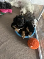 processed/50d11660-3941-4279-90f0-bdebea62c786/facility/7c5ad137-5953-4128-94c0-c3e7990a6f65