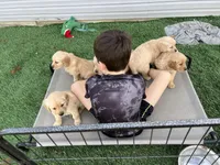 processed/50d11660-3941-4279-90f0-bdebea62c786/facility/7d8d775c-d808-4f81-9877-c678dacbbf34