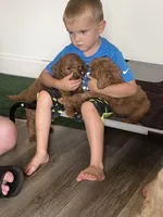 processed/50d11660-3941-4279-90f0-bdebea62c786/facility/8f2ce22a-425b-4258-886c-d8de28aa3eed