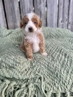 processed/50d11660-3941-4279-90f0-bdebea62c786/listing/b59485e7-f76f-4a9a-87e8-d453930db08d/24f43bb6-fe35-4507-baab-dbddadd3763b