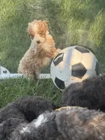 processed/50d11660-3941-4279-90f0-bdebea62c786/listing/b59485e7-f76f-4a9a-87e8-d453930db08d/2543d86e-19bf-4e29-afe7-ba95d2dd76e8