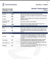 processed/50d11660-3941-4279-90f0-bdebea62c786/listing/b59485e7-f76f-4a9a-87e8-d453930db08d/cf621f02-b8b4-4ef7-b478-7cd29f855851