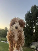 processed/50d11660-3941-4279-90f0-bdebea62c786/listing/b59485e7-f76f-4a9a-87e8-d453930db08d/f652107b-884b-4dd3-80b8-9ce45e068988