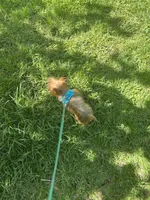 processed/50dde61f-02e4-48be-a969-35b86be0af77/facility/7845266a-4d7a-48bb-b00b-1104379c7993