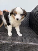 processed/50dde61f-02e4-48be-a969-35b86be0af77/listing/f3d29ea4-9dc9-43ff-bb3a-e3c547accfed/4a1eed4d-88e5-47be-9476-f9a7c60bf571