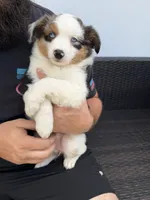 processed/50dde61f-02e4-48be-a969-35b86be0af77/listing/f3d29ea4-9dc9-43ff-bb3a-e3c547accfed/8ea2cda8-020d-4aa3-9c62-78a403eb73dd