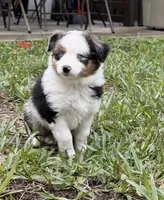 processed/50dde61f-02e4-48be-a969-35b86be0af77/listing/f3d29ea4-9dc9-43ff-bb3a-e3c547accfed/bcebabe6-658a-4084-9817-92599fcdadb8