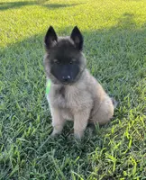 processed/50de54d7-ec40-49cb-9fe8-612944b835fa/listing/3381b5f4-53fd-40db-9c95-5bf1c37b38f4/6162c913-89d8-4028-aa8c-478df6456a7d