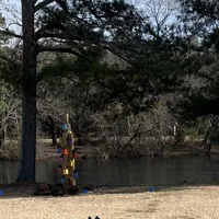 Green Girl, a female Belgian Tervuren for sale in Fayetteville, NC – Photo 5 of 9