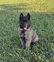 processed/50de54d7-ec40-49cb-9fe8-612944b835fa/listing/3427a1fd-0a4e-4f96-bdb4-d8a61f9fde8b/0af62c77-d8db-4ab4-a620-9d2056ebca51