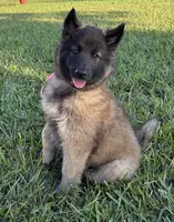 processed/50de54d7-ec40-49cb-9fe8-612944b835fa/listing/4a503344-91dc-43c1-ba26-5f2d9d171017/dfe3ecaf-c35c-479d-bfc8-74e1dab40f69