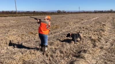 Ruby, a female German Shorthaired Pointer for sale in Oroville, CA – 10 of 10