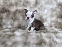 processed/50ee82b8-60e6-44aa-908d-ccdabf1f1505/listing/b106e33b-5520-49da-a8db-21008fbd5ad3/4da303d0-89f3-4f05-bced-00c9d309e240