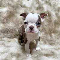 processed/50ee82b8-60e6-44aa-908d-ccdabf1f1505/listing/b106e33b-5520-49da-a8db-21008fbd5ad3/7b74c0ce-bcce-4f79-9235-f90d1390b27f