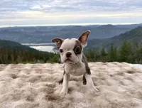 processed/50ee82b8-60e6-44aa-908d-ccdabf1f1505/listing/b106e33b-5520-49da-a8db-21008fbd5ad3/c2d811c0-21d3-45cf-b683-3591aa84b57d