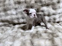 processed/50ee82b8-60e6-44aa-908d-ccdabf1f1505/listing/b106e33b-5520-49da-a8db-21008fbd5ad3/c7739da5-9eee-4bb5-b007-a7ee9a39af11