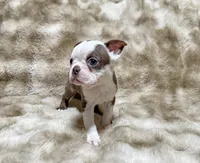 processed/50ee82b8-60e6-44aa-908d-ccdabf1f1505/listing/b106e33b-5520-49da-a8db-21008fbd5ad3/d733ec60-cf33-4cf5-a179-f6a0f4154735