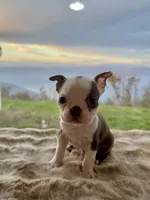 processed/50ee82b8-60e6-44aa-908d-ccdabf1f1505/listing/b106e33b-5520-49da-a8db-21008fbd5ad3/da616e5a-6adf-4a46-b314-7bb9b78fa5fa