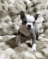 processed/50ee82b8-60e6-44aa-908d-ccdabf1f1505/listing/c23b2243-c358-4574-abda-12337ae6e729/7935691a-9bff-4705-a3a4-c412cfa8c275