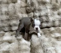 processed/50ee82b8-60e6-44aa-908d-ccdabf1f1505/listing/c23b2243-c358-4574-abda-12337ae6e729/80a098a4-0c81-454a-a90c-f8bfeb84cf35