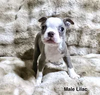 processed/50ee82b8-60e6-44aa-908d-ccdabf1f1505/listing/c23b2243-c358-4574-abda-12337ae6e729/abe2f501-8e6f-4d3e-be13-f12d5a08a31e