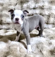 processed/50ee82b8-60e6-44aa-908d-ccdabf1f1505/listing/c23b2243-c358-4574-abda-12337ae6e729/b5d536f4-917f-454a-a5e4-3adc2f0b26ce