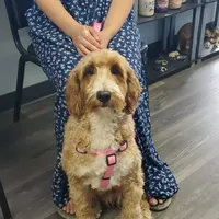 processed/50f32316-6a38-4ba6-ad2f-4dea26dbbaef/facility/0cef679b-b372-43d2-ade7-06463779d74a