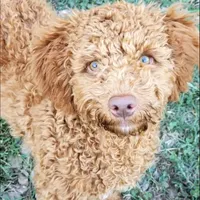 processed/50f32316-6a38-4ba6-ad2f-4dea26dbbaef/facility/440604dd-b7eb-499c-b763-444c4c2d5687