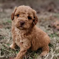 processed/50f32316-6a38-4ba6-ad2f-4dea26dbbaef/facility/617acf7d-4db1-4bc8-9ec1-9f9362b10c57