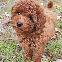 processed/50f32316-6a38-4ba6-ad2f-4dea26dbbaef/facility/8616e552-9bee-409c-b332-4a19ca9fc1b7