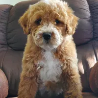 processed/50f32316-6a38-4ba6-ad2f-4dea26dbbaef/facility/cff48951-c6db-4aa4-a303-5446fc352f82