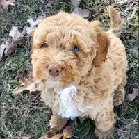 processed/50f32316-6a38-4ba6-ad2f-4dea26dbbaef/facility/e04faf4a-dbfb-4e99-b831-c40755c4ee83