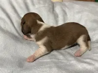 processed/50feea60-aea9-43e0-b154-449e5e25d148/listing/41050371-2589-4705-88f2-24cd30799814/2280d91a-320d-4a6e-b95b-8c6eed8d99ba