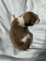 processed/50feea60-aea9-43e0-b154-449e5e25d148/listing/41050371-2589-4705-88f2-24cd30799814/247322bd-9270-4030-89f5-828d2dbd16f8