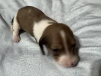 processed/50feea60-aea9-43e0-b154-449e5e25d148/listing/41050371-2589-4705-88f2-24cd30799814/5ca5792d-54cb-4390-813f-8a7f337cc7f9