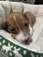 processed/50feea60-aea9-43e0-b154-449e5e25d148/listing/41050371-2589-4705-88f2-24cd30799814/6055a7ce-e593-4763-9d25-0ff5309bc984