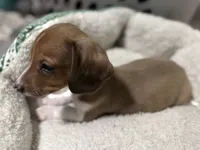 processed/50feea60-aea9-43e0-b154-449e5e25d148/listing/41050371-2589-4705-88f2-24cd30799814/7b49dc81-5568-415b-8302-50ef4772d8e8