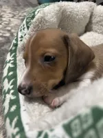 processed/50feea60-aea9-43e0-b154-449e5e25d148/listing/41050371-2589-4705-88f2-24cd30799814/a53e5da8-e4e0-45fd-8d09-2ee61c7c6ec6