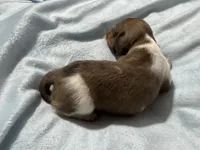 processed/50feea60-aea9-43e0-b154-449e5e25d148/listing/41050371-2589-4705-88f2-24cd30799814/adeb319d-09ae-4e4b-aa27-2df8398801f5