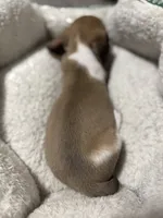 processed/50feea60-aea9-43e0-b154-449e5e25d148/listing/41050371-2589-4705-88f2-24cd30799814/b3289092-159c-471c-8a78-01fd5bb91362