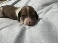 processed/50feea60-aea9-43e0-b154-449e5e25d148/listing/41050371-2589-4705-88f2-24cd30799814/be456b45-f98e-4d54-be0b-15cdf7fadfe6