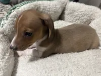 processed/50feea60-aea9-43e0-b154-449e5e25d148/listing/41050371-2589-4705-88f2-24cd30799814/e6707a56-2b62-460b-a603-4916c9e9d252