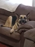 processed/51065c28-9f20-40cd-b23b-5470962c7014/facility/0f0eb2f8-f319-4c48-8bb5-0542171e2a66