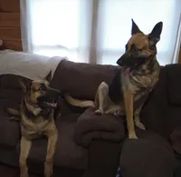 processed/51065c28-9f20-40cd-b23b-5470962c7014/facility/75ee4c6e-e0be-4b87-82d3-a300e843bf34